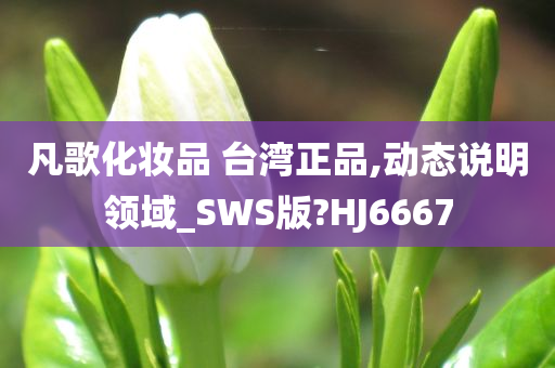 凡歌化妆品 台湾正品,动态说明领域_SWS版?HJ6667