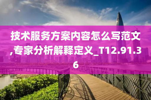 技术服务方案内容怎么写范文,专家分析解释定义_T12.91.36