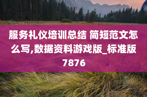 服务礼仪培训总结 简短范文怎么写,数据资料游戏版_标准版7876