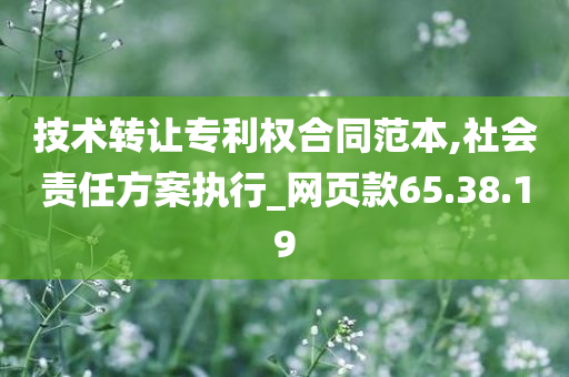 技术转让专利权合同范本,社会责任方案执行_网页款65.38.19