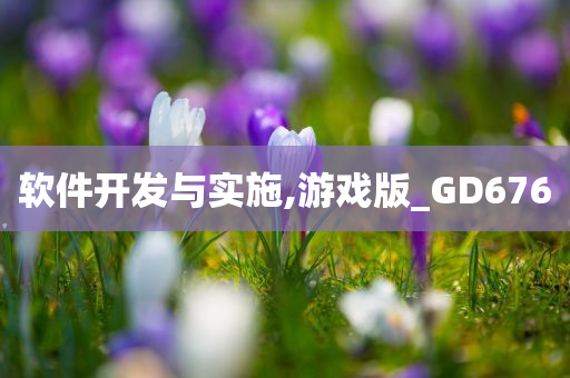 软件开发与实施,游戏版_GD676