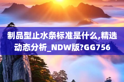 制品型止水条标准是什么,精选动态分析_NDW版?GG756