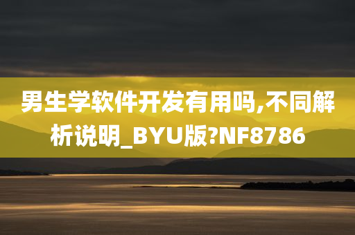 男生学软件开发有用吗,不同解析说明_BYU版?NF8786