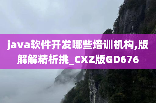 java软件开发哪些培训机构,版解解精析挑_CXZ版GD676