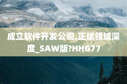 成立软件开发公司,正版领域深度_SAW版?HHG77