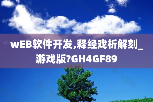 wEB软件开发,释经戏析解刻_游戏版?GH4GF89