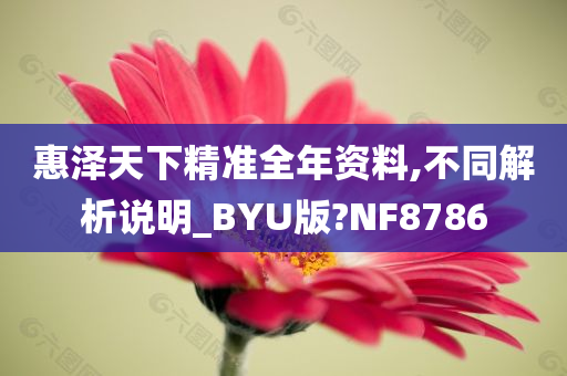 惠泽天下精准全年资料,不同解析说明_BYU版?NF8786