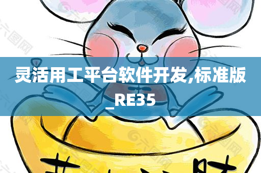 灵活用工平台软件开发,标准版_RE35