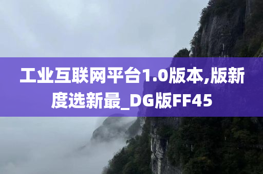 工业互联网平台1.0版本,版新度选新最_DG版FF45