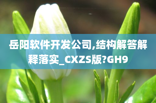 岳阳软件开发公司,结构解答解释落实_CXZS版?GH9