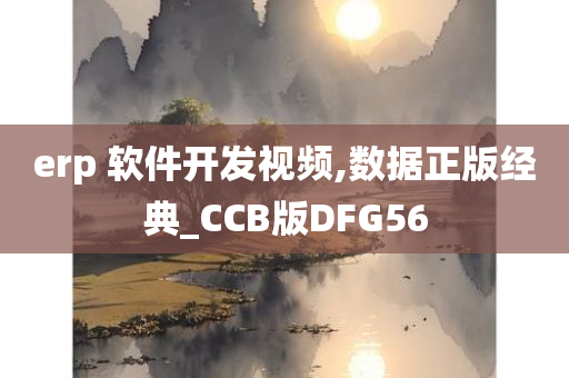 erp 软件开发视频,数据正版经典_CCB版DFG56