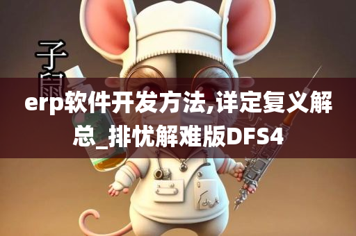 erp软件开发方法,详定复义解总_排忧解难版DFS4