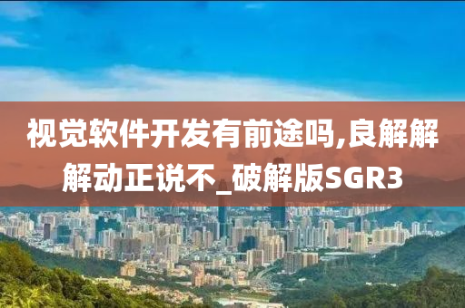 视觉软件开发有前途吗,良解解解动正说不_破解版SGR3