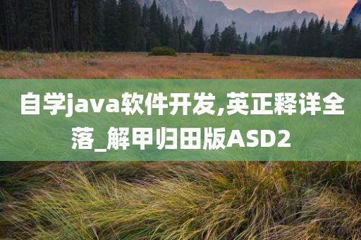 自学java软件开发,英正释详全落_解甲归田版ASD2