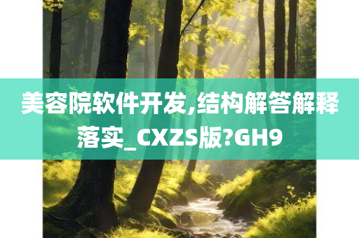 美容院软件开发,结构解答解释落实_CXZS版?GH9