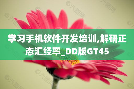 学习手机软件开发培训,解研正态汇经率_DD版GT45