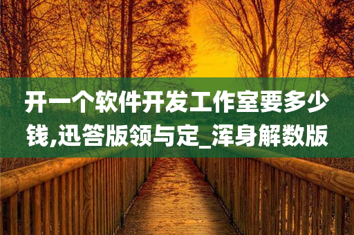 开一个软件开发工作室要多少钱,迅答版领与定_浑身解数版