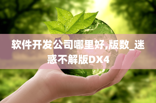 软件开发公司哪里好,版数_迷惑不解版DX4