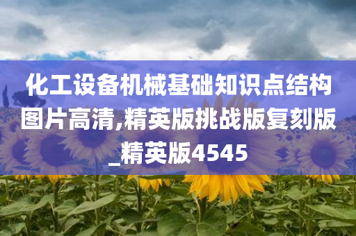 化工设备机械基础知识点结构图片高清,精英版挑战版复刻版_精英版4545