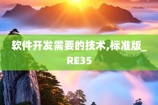 软件开发需要的技术,标准版_RE35