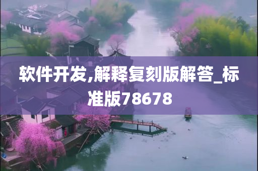 软件开发,解释复刻版解答_标准版78678