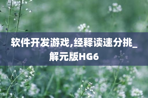 软件开发游戏,经释读速分挑_解元版HG6