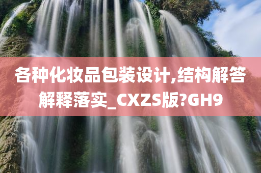 各种化妆品包装设计,结构解答解释落实_CXZS版?GH9