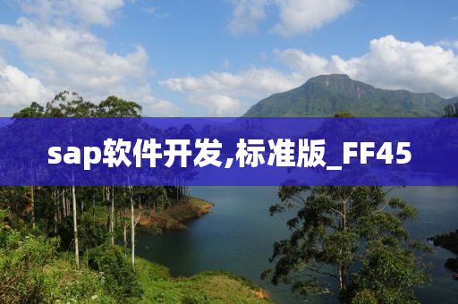 sap软件开发,标准版_FF45