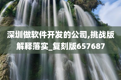 深圳做软件开发的公司,挑战版解释落实_复刻版657687