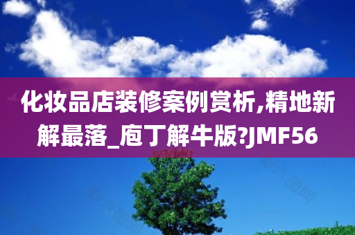 化妆品店装修案例赏析,精地新解最落_庖丁解牛版?JMF56