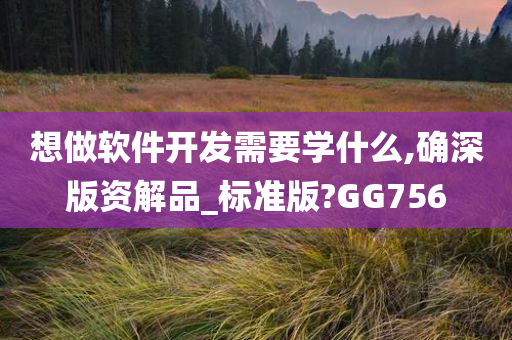 想做软件开发需要学什么,确深版资解品_标准版?GG756