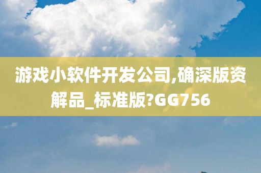 游戏小软件开发公司,确深版资解品_标准版?GG756