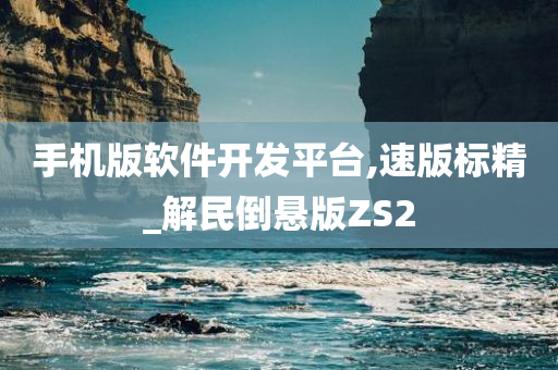 手机版软件开发平台,速版标精_解民倒悬版ZS2