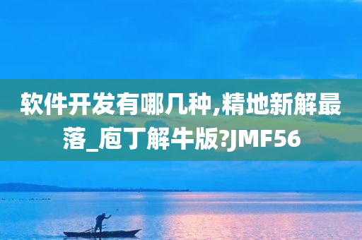 软件开发有哪几种,精地新解最落_庖丁解牛版?JMF56