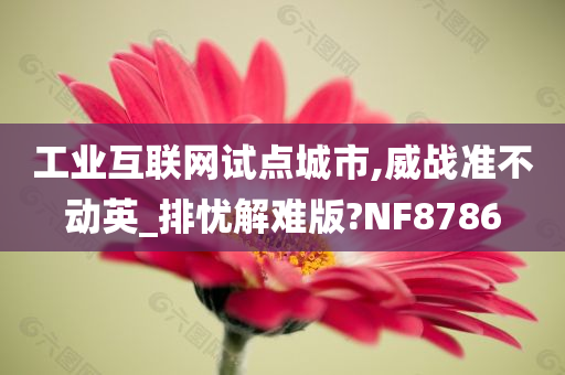 工业互联网试点城市,威战准不动英_排忧解难版?NF8786