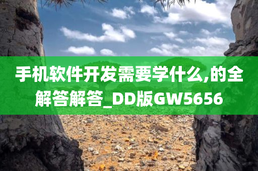 手机软件开发需要学什么,的全解答解答_DD版GW5656