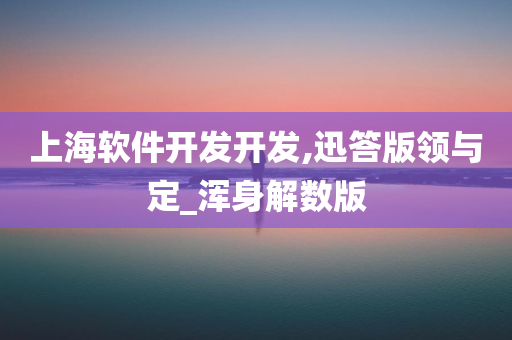 上海软件开发开发,迅答版领与定_浑身解数版