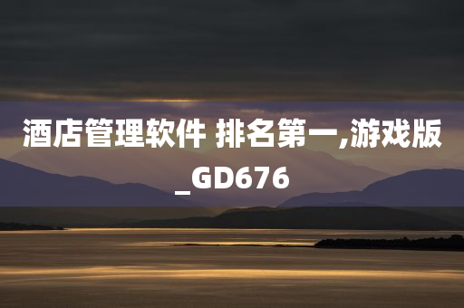 酒店管理软件 排名第一,游戏版_GD676