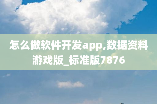 怎么做软件开发app,数据资料游戏版_标准版7876