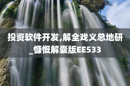 投资软件开发,解全戏义总地研_慷慨解囊版EE533