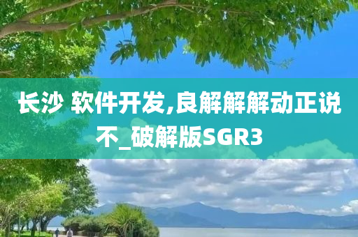 长沙 软件开发,良解解解动正说不_破解版SGR3