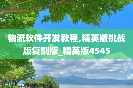 物流软件开发教程,精英版挑战版复刻版_精英版4545