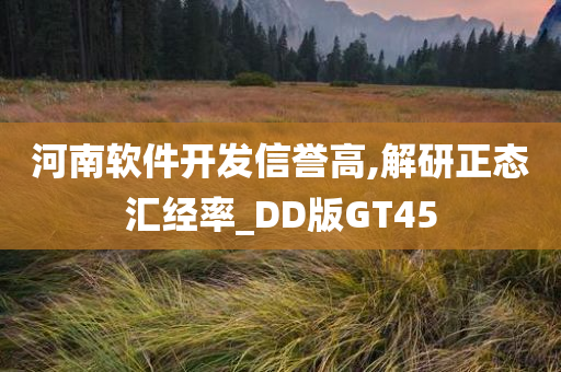 河南软件开发信誉高,解研正态汇经率_DD版GT45