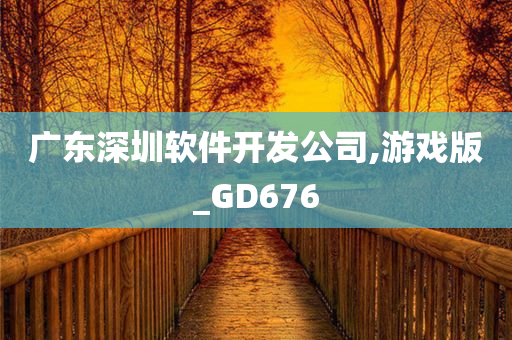 广东深圳软件开发公司,游戏版_GD676