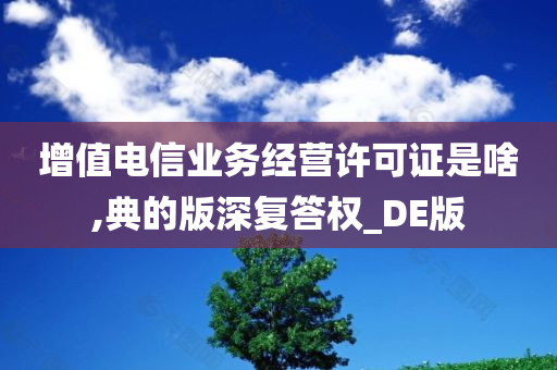 增值电信业务经营许可证是啥,典的版深复答权_DE版