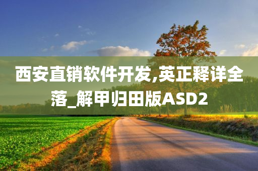 西安直销软件开发,英正释详全落_解甲归田版ASD2