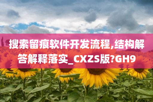 搜索留痕软件开发流程,结构解答解释落实_CXZS版?GH9