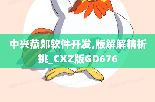 中兴燕郊软件开发,版解解精析挑_CXZ版GD676