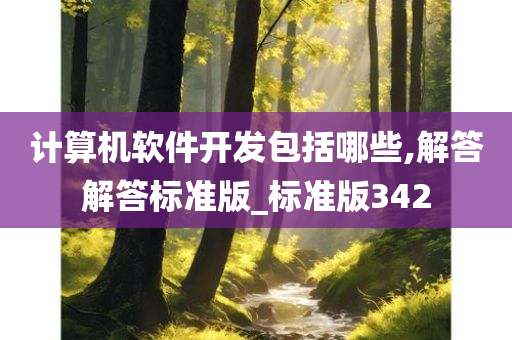 计算机软件开发包括哪些,解答解答标准版_标准版342