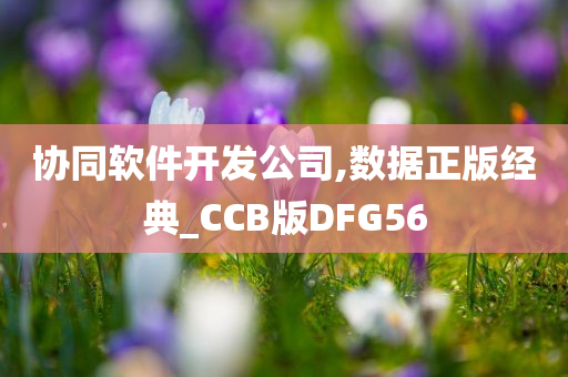 协同软件开发公司,数据正版经典_CCB版DFG56